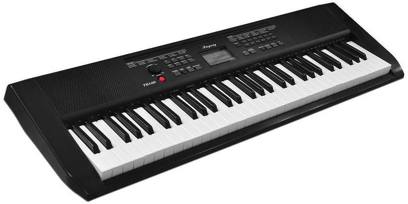 Синтезатор Ringway TB-100 артикул 235812Si-1