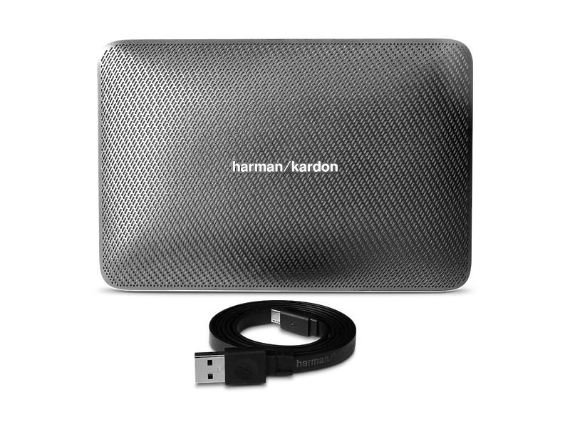Harman Kardon Esquire 2 Grey #1 в «HiFiRussia»