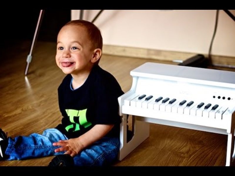 Клавишный инструмент KORG TINYPIANO WH артикул 136270Si-1 фото 5