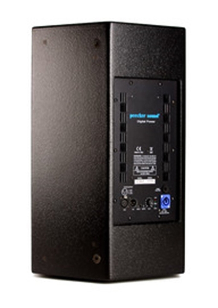 Концертная акустика Peecker Sound 4012MH/A артикул 135468Si-1 фото 5