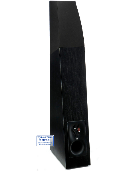 Напольная акустика Martin Logan Motion 12 black артикул 399957FV-1 фото 5