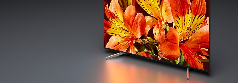 LED телевизор Sony KD-65XF8596BR2 артикул 176152Si-1 фото 4