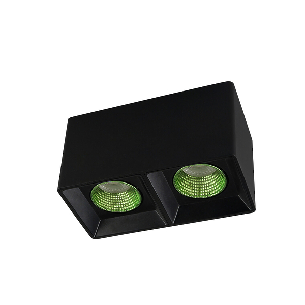 Светильник накладной Denkirs DK3085-BK+GR (Black Green) артикул 270672Si-1