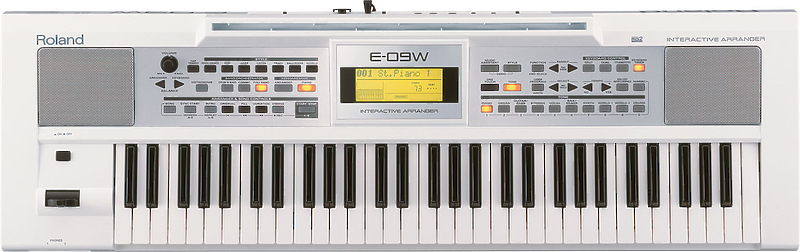 Клавишный инструмент Roland E09W артикул 150186Si-1 фото 3