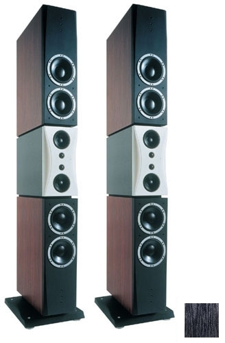 Напольная акустика Dynaudio Evidence Master black артикул 398265FV-1