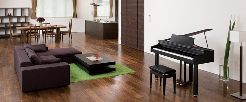 Клавишный инструмент Roland RG-1F-SB артикул 136407Si-1 фото 4