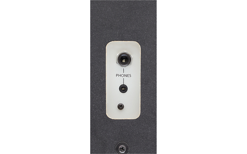 Клавишный инструмент Roland RP102-BK (дубль) артикул 180188Si-1 фото 4