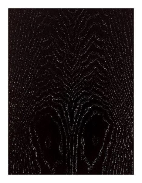 Напольная акустика Audio Physic Scorpio II black ash артикул 141818Si-1 фото 3
