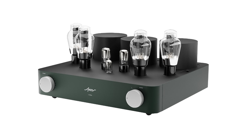 Ламповый интегральный усилитель Fezz Audio Lybra 300b EVO Evergreen артикул 332489Si-1 фото 3
