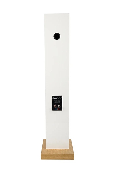 Напольная акустика Davis Acoustics Courbet 7 White Gloss артикул 336599Si-1 фото 6