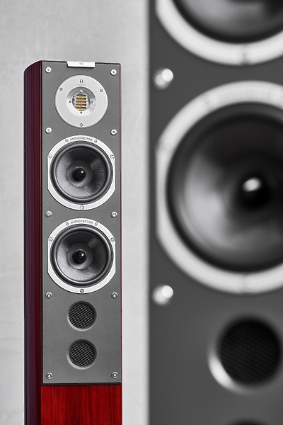 Напольная акустика Audiovector SR 6 Avantgarde Arrete African Rosewood Piano артикул 219943Si-1 фото 3