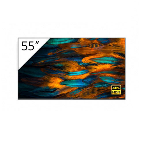 LED панель Sony FW-55BZ40H артикул 244859Si-1 в интернет-магазине «HiFiRussia»