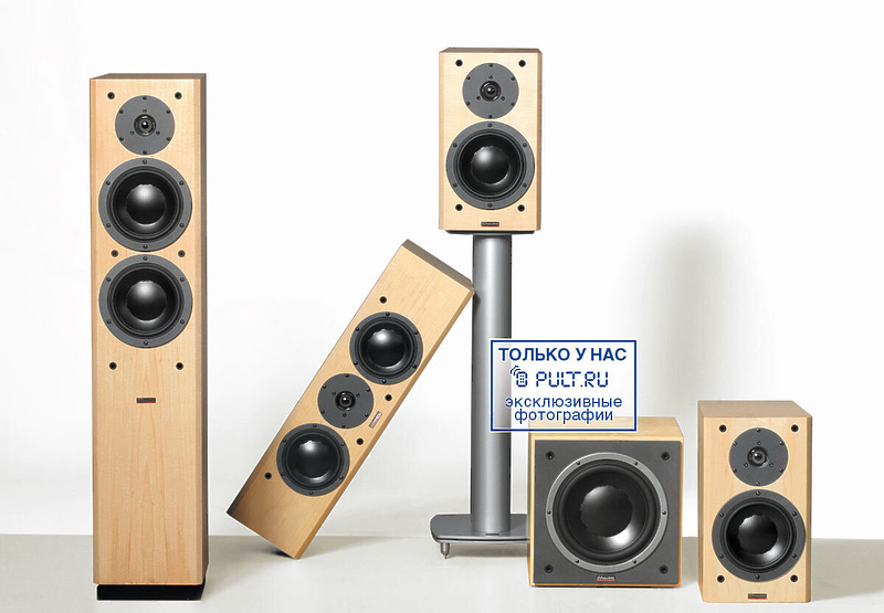 Акустическая система Dynaudio Focus 110 A maple артикул 443800FV-1 фото 15