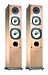 Напольная акустика Acoustic Energy AEGIS EVO THREE lmpl