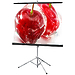 Экран Draper Consul AV (1:1) 70/70" 178*178 XT1000E (MW)