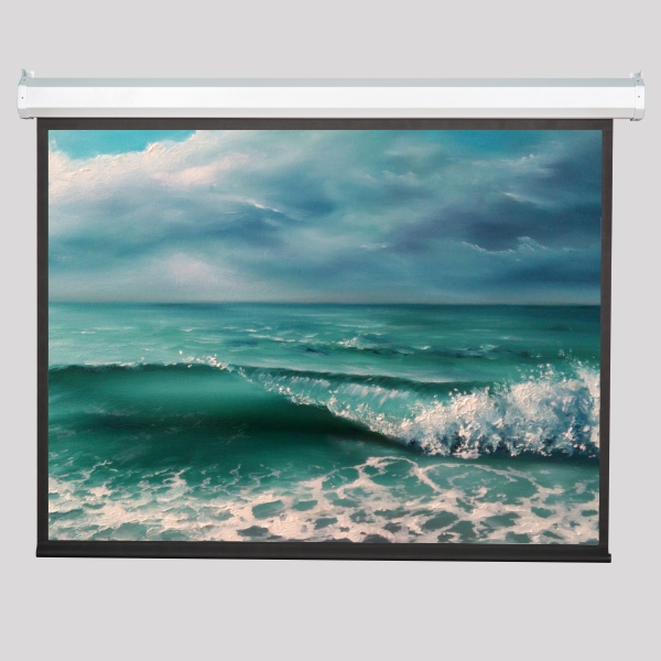Экран Viewscreen Antis (16:10) 550*398 (538*336) MW артикул 167825Si-1