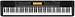 Клавишный инструмент Casio CDP-230RBK