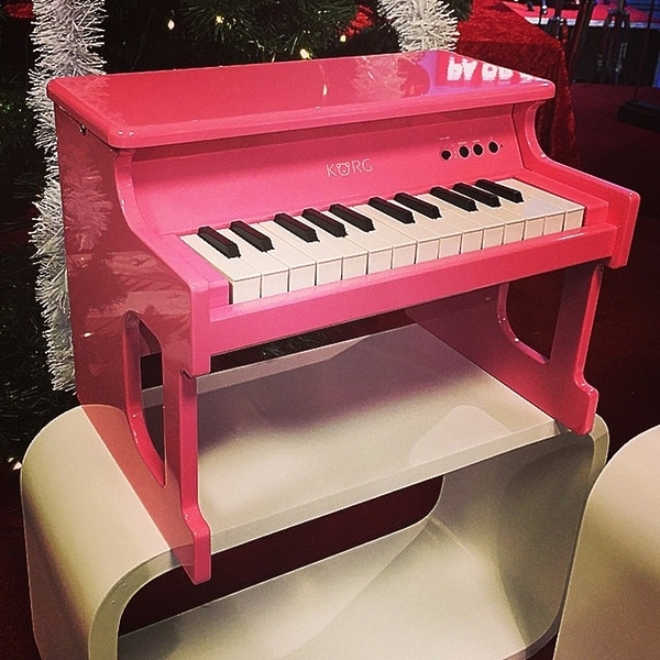 Клавишный инструмент KORG TINYPIANO PK артикул 136268Si-1 фото 4