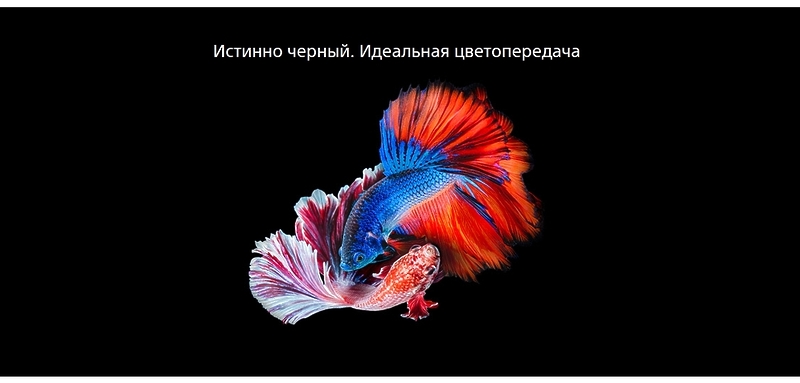 OLED телевизор Sony KD-55A1 артикул 165058Si-1 фото 7