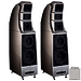 Напольная акустика Wilson Audio Alexx GT Silver