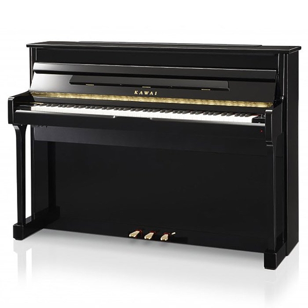 Клавишный инструмент Kawai CS-10 артикул 138538Si-1