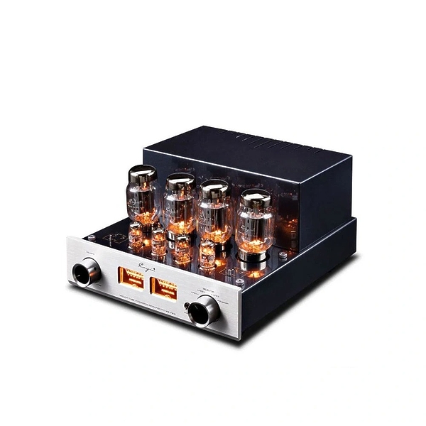 Интегральный ламповый усилитель Cayin MT-45 MK3 silver артикул 286797Si-1 фото 4