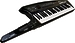 Клавишный инструмент Roland AX-Synth black