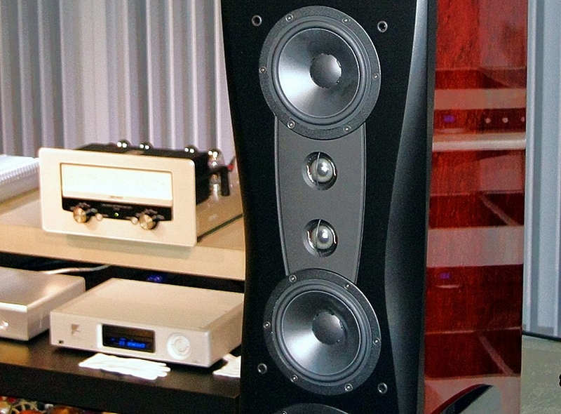 Напольная акустика Dynaudio Confidence Platinum C4 Black piano lacquer Bordeaux high gloss артикул 143436Si-1 фото 8