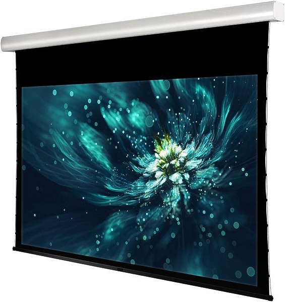 Экран Viewscreen Premium 16:10 150" 323*201 White Casing артикул 256184Si-1 фото 3