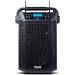 Акустическая система Denon Audio Commander