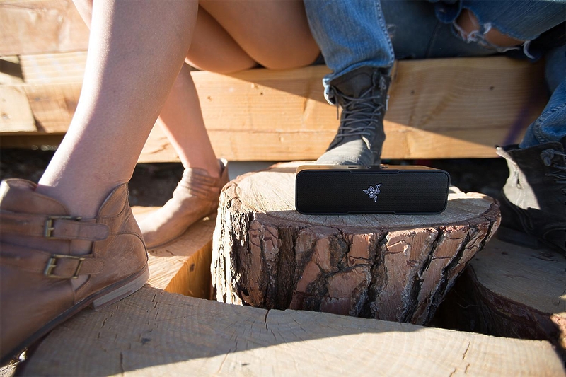 Razer Leviathan Mini (RZ05-01570100-R3G1) #8 в «HiFiRussia»