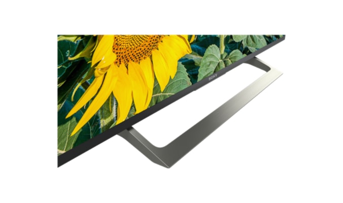 LED телевизор Sony KD-49XF8096BR2 артикул 176146Si-1 фото 3