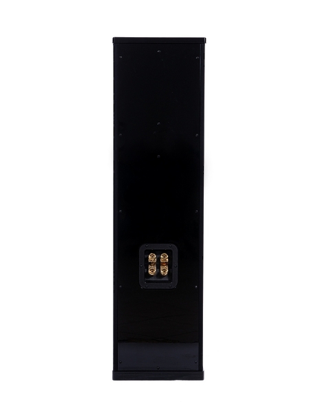 Radiotehnika GOLD FS-500.1 high gloss black артикул 663565DW-1 фото 4