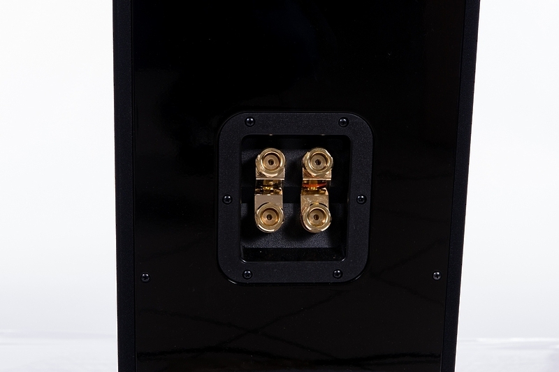 Radiotehnika GOLD FS-500.1 high gloss black артикул 663565DW-1 фото 5
