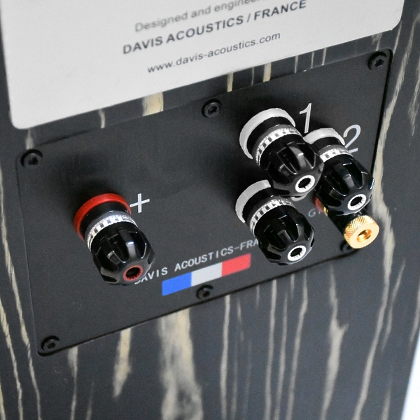 Напольная акустика Davis Acoustics MV One Master Tamo Ash артикул 292016Si-1 фото 4