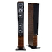 System Audio SA Ranger Master Ebony