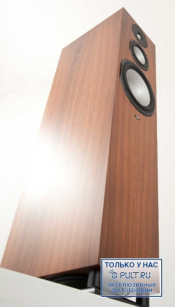 Chario Syntar 533 walnut артикул 400293FV-1 фото 9