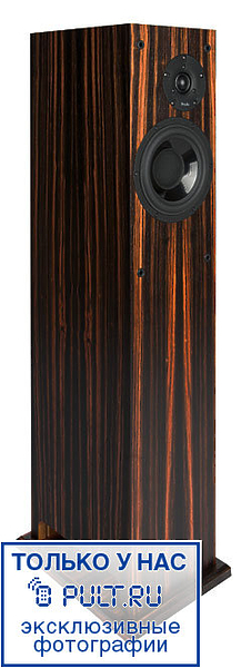 Акустическая система ProAc Response D18 maple артикул 424862FV-1 фото 5