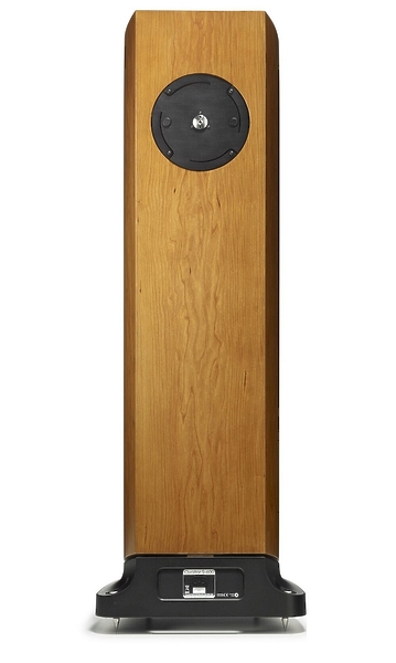 Напольная акустика Naim Ovator S-600 black артикул 149677Si-1 фото 4