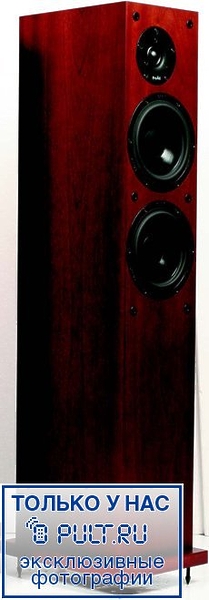 Акустическая система ProAc Studio 140 mahogany артикул 403116FV-1 фото 10