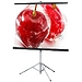 Экран Draper Consul AV (1:1) 70/70" 178*178 MW (XT1000E) 216010