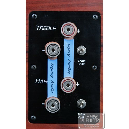 Напольная акустика Legacy Audio Classic HD rosewood артикул 101607Si-1 фото 5