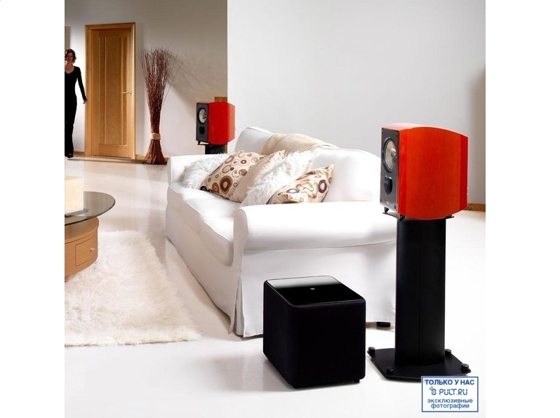 Акустическая система KEF XQ20 bird's eye maple (пара) артикул 448399FV-1 фото 7