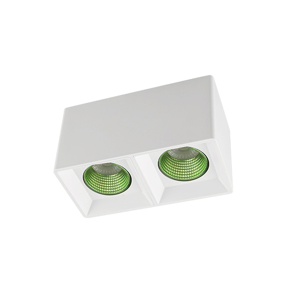 Светильник накладной Denkirs DK3085-WH+GR (White Green) артикул 270682Si-1