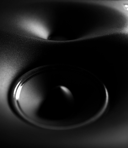 Полочная акустика Genelec 1238APM артикул 123150Si-1 фото 3
