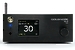 Стример/Усилитель для наушников Gold Note DS-10 Plus Black