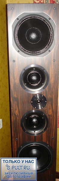 Акустическая система ProAc Response D100 maple артикул 429470FV-1 фото 4