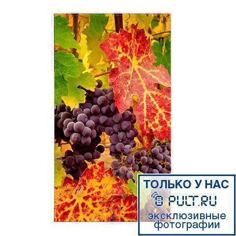 Nec X554UN #2 в «HiFiRussia»