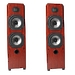 Напольная акустика Legacy Audio Expression rosewood