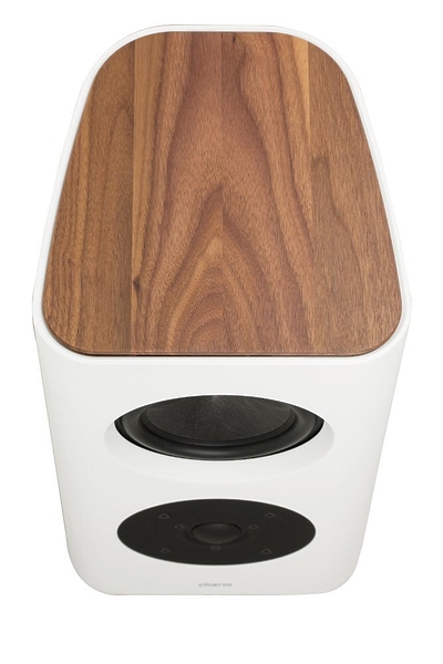 Полочная акустика Chario Belong Type S limited артикул 188515Si-1